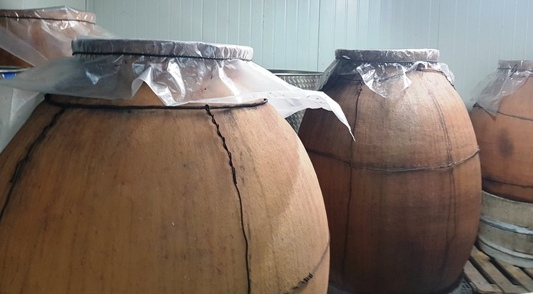 Win ferments in clay casks instead of barrels at Kamda Winery in the Judean foothills