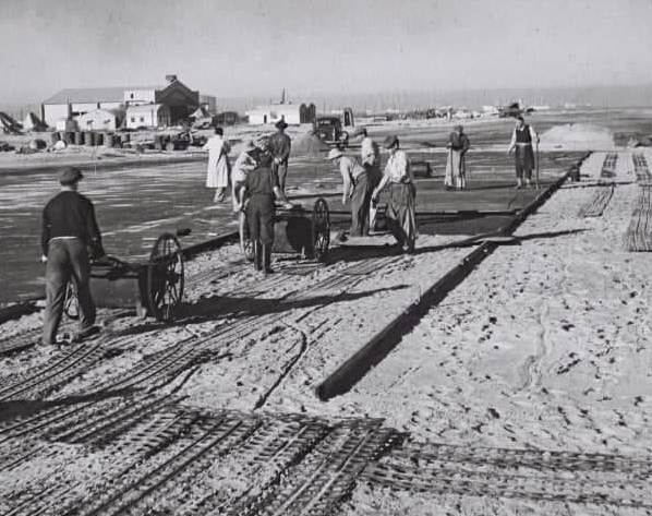 construction of an airport along Tel Aviv's coastline in 1937