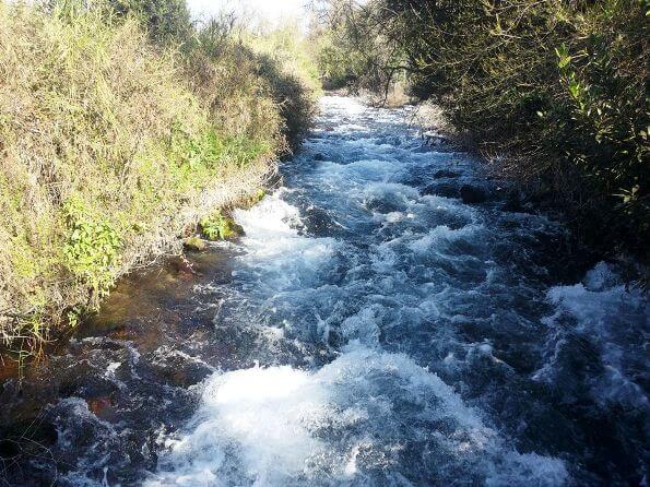Dan River in north Israel, Tel Dan Nature Reserve