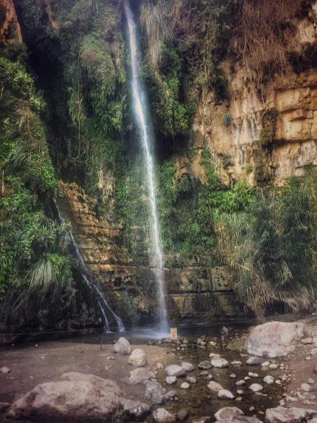 David waterfall in Ein Gedi National Park in the Judean Desert