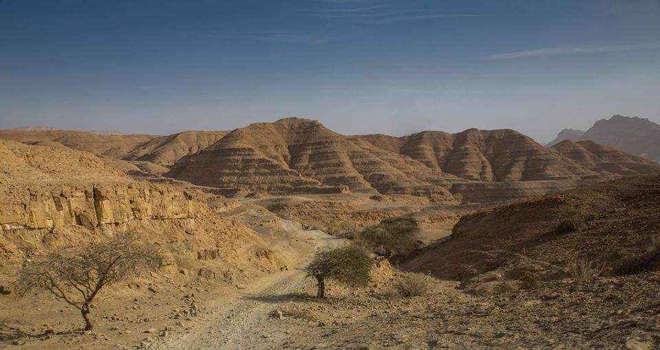 desert scenerey in Israel