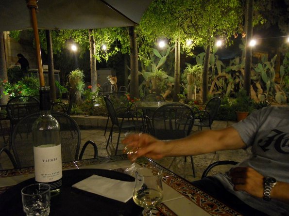 garden at the Austrian Hospice guesthouse in Jerusalem's old city