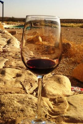 Drinking Israeli Wine in the Desert