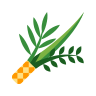 On the holiday of Sukkot or Tabernacles, Jews celebrate with 4 plant species including the lulav from the date palm tree On the holiday of Sukkot or Tabernacles, Jews celebrate with 4 plant species including the lulav from the date palm tree