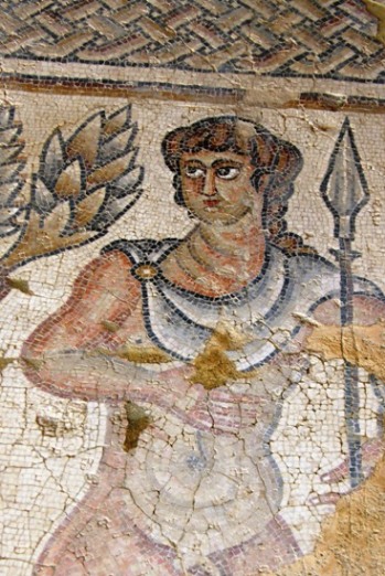 amazing mosaic at Zipori in the Galilee Israel